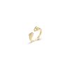 Anillo Jaguares