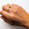 Anillo Jaguares